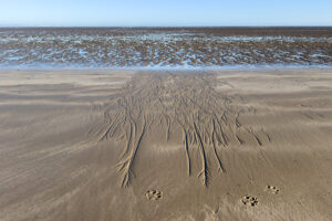 romney meadows campsite 21