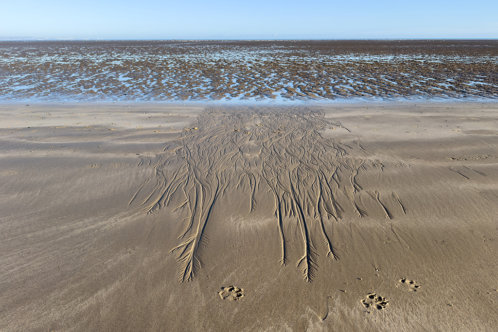 romney meadows campsite 21